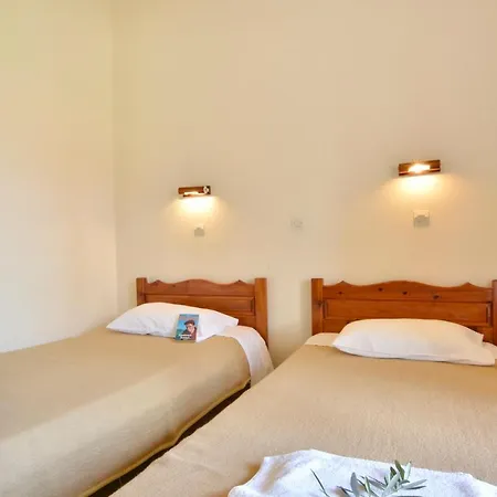 Appartement Adonis